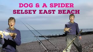 Smoothound amp Ray Fishing  Selsey [upl. by Ahsiem]