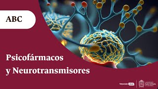 Neurotransmisores y psicofármacos ¿cómo se equilibra la química de los trastornos psicológicos [upl. by Diba101]