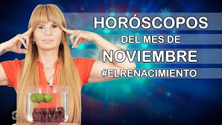 Horoscopos del Mes de Noviembre MhoniVidente riqueza [upl. by Ainav]