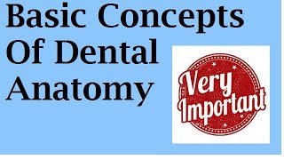 BASIC CONCEPTS OF DENTAL ANATOMY [upl. by Ahsrav]