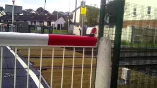 Dunmurry Foot Crossing [upl. by Angle]