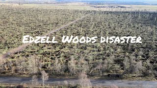 Edzell Woods disaster Scotland 4K [upl. by Rutherfurd]