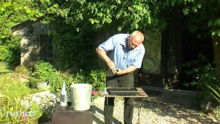 Semis de gaillardes en terrine [upl. by Joyce]