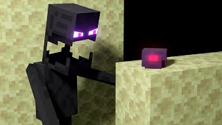 Why Endermen Hate Endermites [upl. by Caty109]