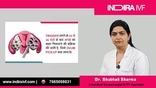 क्या होता है IVF Treatment  Test Tube Baby Process  Dr Shubhali Sharma  Indira IVF [upl. by Sivram986]