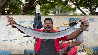 KASIMEDU SPEED SELVAM MURAL FISH CUTTING 💥 IN KASIMEDU FISH CUTTING 💥 [upl. by Gyasi]