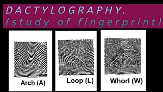 Dactylography forensic medicine Easy WayDefinationTypepatternIdentificationPART2 [upl. by Ysset]