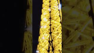 Eiffel Tower light show [upl. by Egap]