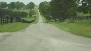 Kentucky Horse Farm Bluegrass KY Farm Land Vineyard winery 1 of 3 [upl. by Bohun]