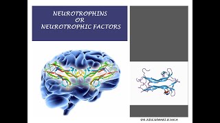 NEUROTROPHINS OR NEUROTROPHIC FACTORS [upl. by Fishman]