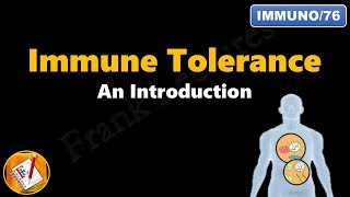 Immune tolerance  An introduction FLImmuno76 [upl. by Nirmak]