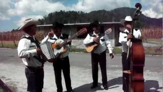 Grupo Norteño COVER Muchacho Alegre [upl. by Gone]