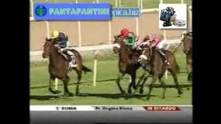 Premio Regina Elena 2011 GR 3 [upl. by Gerk]