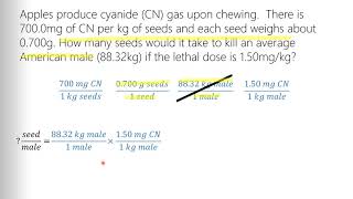 Dimensional Analysis Word Problem example [upl. by Banks615]