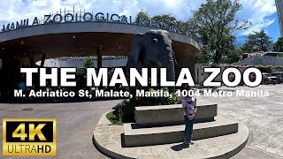 Manila Zoo  Full Walking Tour  4K [upl. by Iderf]