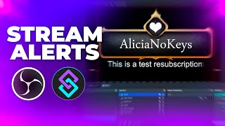 Custom STREAM ALERTS with OBS Studio amp Streamerbot  Tutorial [upl. by Ymer]