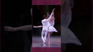 shorts Ballet Adagio From The Nutcracker nutcracer adagio ballet [upl. by Yditsahc695]