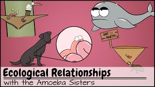 Ecological Relationships [upl. by Mikel331]