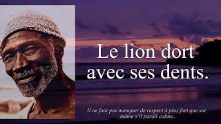 10 Proverbes Africains Expliqués ǀ Humour amp Philosophie 1 [upl. by Ettari]