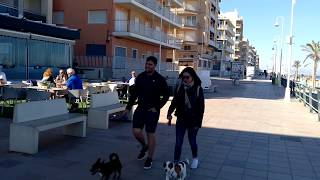 Guardamar del Segura Beach Front And Boardwalk [upl. by Aicile]