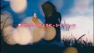 愛はかげろうのように  シャーリーン 和訳 Ive Never Been to Me  Charlene [upl. by Conah]