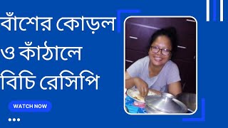 বাঁশের কোড়ল ও কাঁঠালের বিচি রেসিপিBash korol recipe [upl. by Nwahshar]