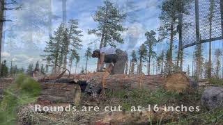 Wood cutting with the Whitefoots [upl. by Carlyn]