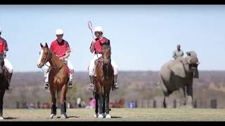 Zambia Polocrosse [upl. by Terrance]