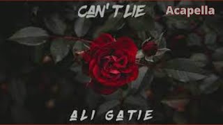 Ali Gatie  Cant Lie Acapella 132bpm G Major [upl. by Tamera]