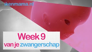 9 weken zwanger  ikenmamanl [upl. by Alius]