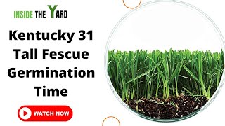 All You Need To Know About Kentucky 31 Tall Fescue Germination Time [upl. by Oringa]