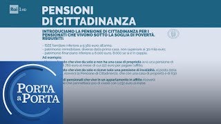 Pensione di cittadinanza a chi spetta  Porta a porta 17012019 [upl. by Edwina]