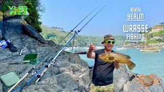 Sea Fishing Uk  Wrasse Fishing Adventures  River YealmWembury  Vlog123 [upl. by Liza]