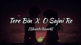 Tere Bin X Sajni Re  Atif Aslam  Arijit Singh  2024 song [upl. by Aley43]