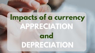 Economic impact of currency appreciation and depreciation [upl. by Nayarb]