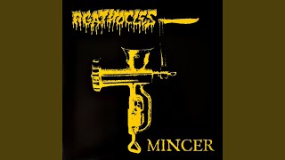 Mincer [upl. by Emirac]