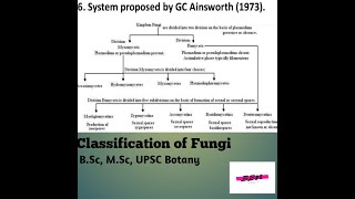 Classification of Fungi BSc MSc UPSC Botany [upl. by Aserehs478]