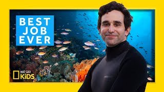 Marine Biologist David Gruber  Best Job Ever [upl. by Etteniotnna647]