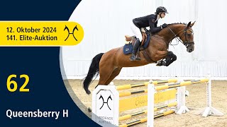 No 62 Queensberry H by Quaid I  Stakkato  141 Verden EliteAuction on October 12th [upl. by Kellina]