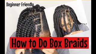 Shortish Box Braid Tutorial [upl. by Mailli350]