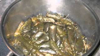 Moms Chaldean Dolma  Cooking Recipe  How to make The Best Stuffed Grape Leaves on Planet Earth [upl. by Manville]