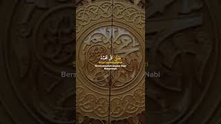 Aslam o alaika ya Rasool shorts viralvideo viralshorts islamicstatus reels bestnaat [upl. by Airehtfele567]