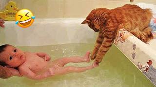 New Funny Animals 😂😁 Funniest Cats and Dogs Videos 😺🐶cutecatdog [upl. by Artsa249]