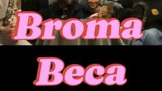 Broma beca [upl. by Yetah]