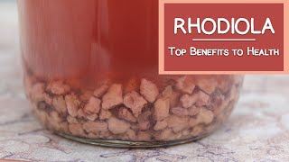 What is Rhodiola Top Health Benefits [upl. by Hastings]