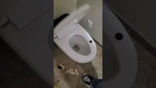 Smart Toilet Bidet [upl. by Henry]