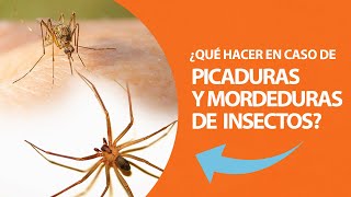 ¿Qué hacer en caso de picaduras y mordeduras de insectos [upl. by Victory]