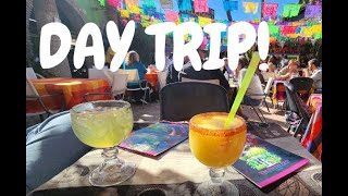 Day Trip to Los Algodones Baja California MX [upl. by Hazel5]