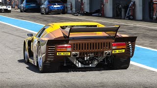 1979 De Tomaso Pantera Silhouette Gr 5 racing at Circuit Paul Ricard [upl. by Elok]