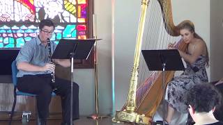 Damase Clarinet and Harp Sonate 1 [upl. by Llerdnod846]